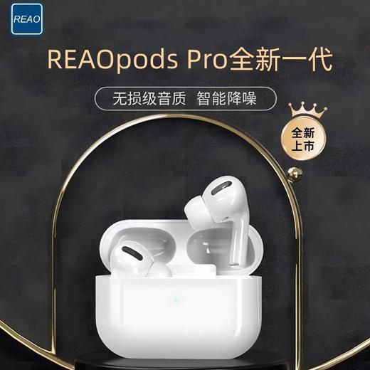 泺澳 REAO pods pro2无线耳机 Y5 商品图2