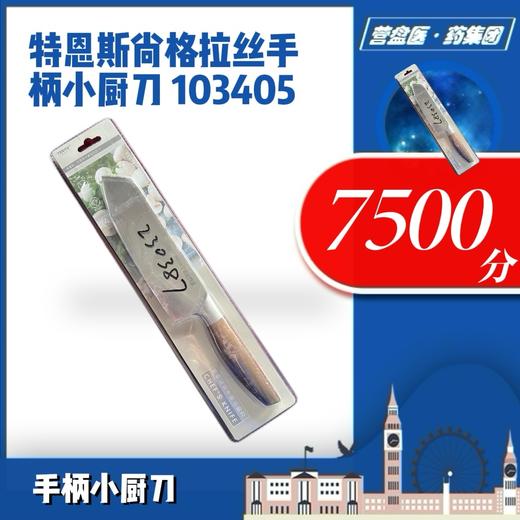 230387	特恩斯尚格拉丝手柄小厨刀 103405 商品图0