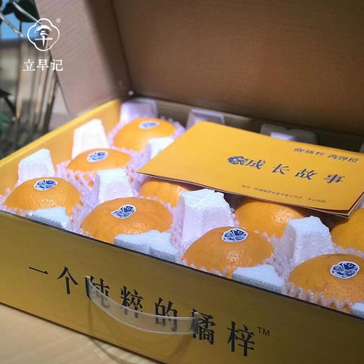 生态耙耙柑 橘有橘粹6斤礼盒 商品图2