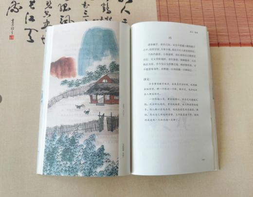 「中国古典生活风雅四书」全4册 汪曾祺、季羡林力荐，清华大学选入书单：这才是生活的顶流， 商品图6