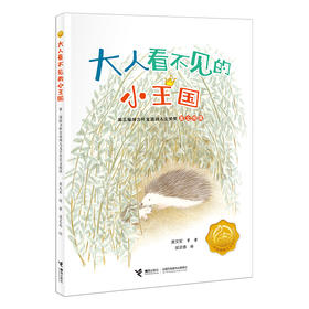 大人看不见的小王国:第三届接力杯金波幼儿文学奖美文悦读