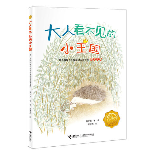 大人看不见的小王国:第三届接力杯金波幼儿文学奖美文悦读 商品图0