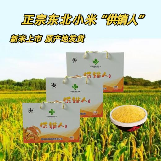 供销人小米5kg 商品图0