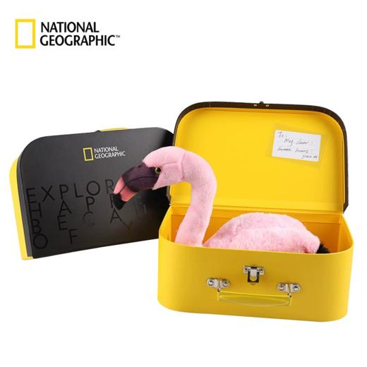 国家地理 毛绒玩具动物玩偶 火烈鸟9英寸礼盒版 商品图0