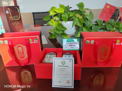 丹芝福有机灵芝孢子粉 商品图0