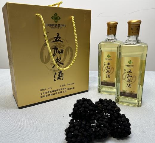 龙五行五加参酒450ml*6/箱 商品图0