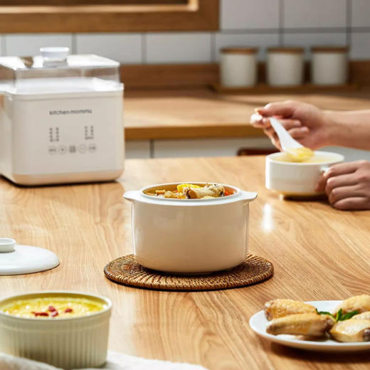 厨创妈咪电炖盅_AJL-10D01【K】 商品图1