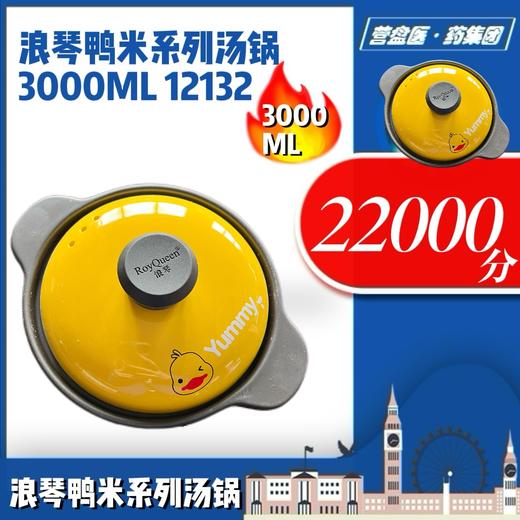 230366	浪琴鸭米系列汤锅3000ML 12132 商品图1