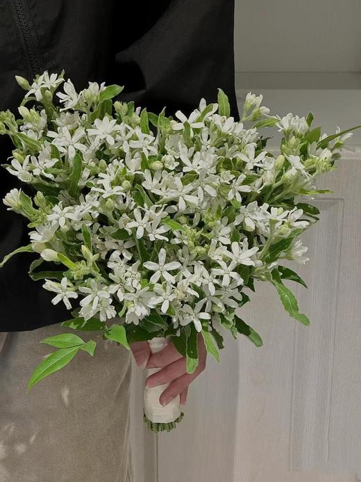白色浪漫【只有30份】白星花3-4支1扎 商品图0