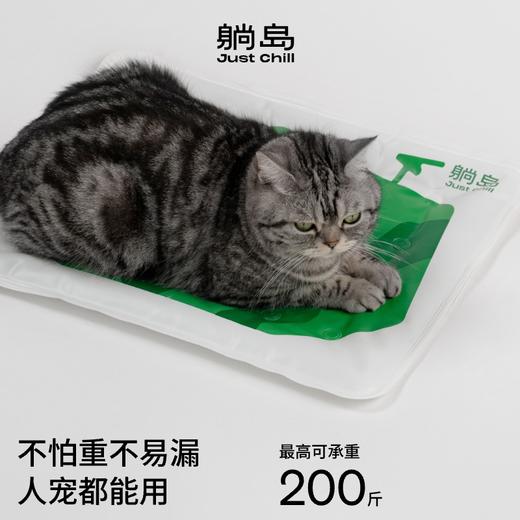 瓜瓜凉感凝胶垫 商品图2