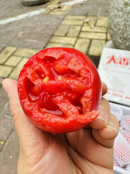 超级玛丽甜番茄 商品图5