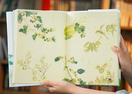 《《诗经》全注全译全本彩图：典藏版》(全2册) 商品图4