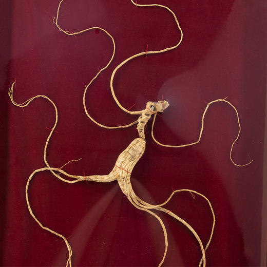 【央企品牌】华润野山参  二等(15年参) 商品图3