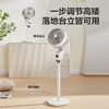 艾美特语音遥控款循环扇FA18-SRD186 商品缩略图4