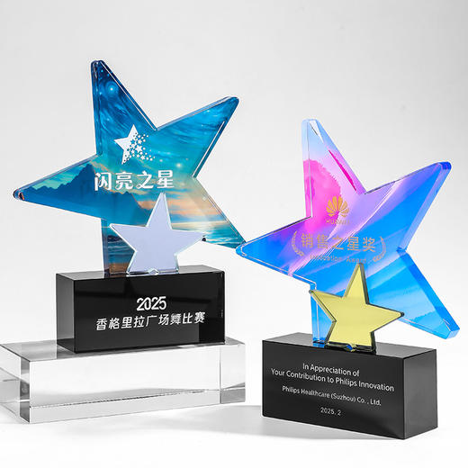 水晶奖杯定制创意五角星金属狼鹿展翅奖牌年会优秀员工销售冠军 商品图11