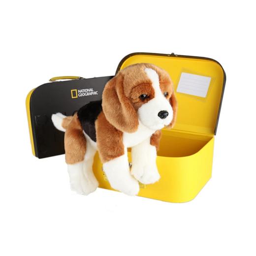 国家地理 毛绒玩具动物玩偶 比格犬10.5英寸礼盒版 商品图0