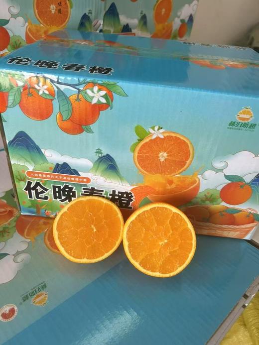 姊归伦晚春橙，一箱9斤，基地直发3天左右到货 商品图2