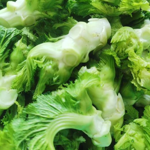 儿菜【1斤】 商品图2