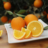 晴晴果园｜生态伦晚 秭归伦晚帝王橙，鲜嫩多汁、香甜可口、特别化渣 商品缩略图5