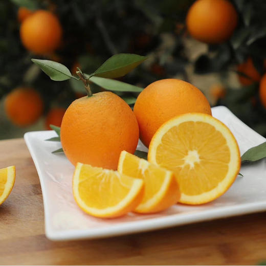 晴晴果园｜生态伦晚 秭归伦晚帝王橙，鲜嫩多汁、香甜可口、特别化渣 商品图5