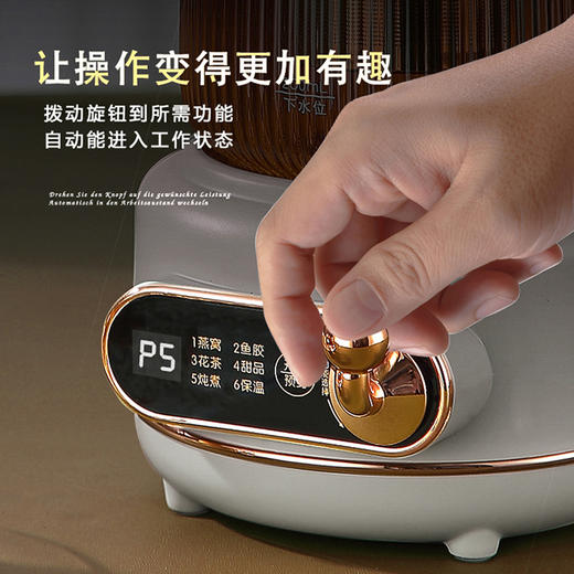 厨创妈咪电炖杯_YSSM05B01【K】 商品图2