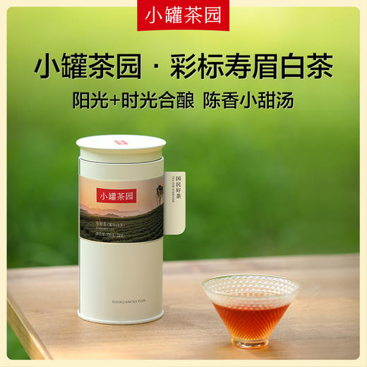 小罐茶园 寿眉茶 白茶  彩标单罐装 5A中国茶   120g(24饼)   【现货】 商品图0