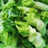 儿菜【1斤】 商品缩略图0