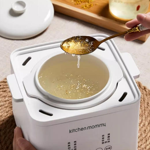 厨创妈咪电炖盅_AJL-10D01【K】 商品图2