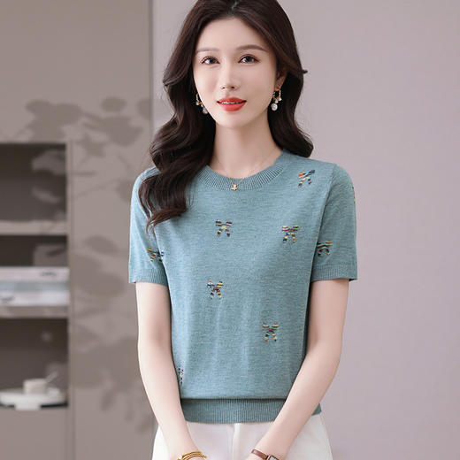 CC-101-356时尚刺绣圆领冰丝短袖t恤女2025新款夏季薄款针织衫显瘦短款上衣 商品图2