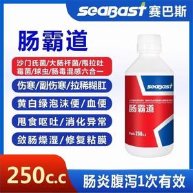 赛巴斯鸽药【肠霸道液体 】250毫升，赛信鸽沙门氏大肠杆菌专用肠道水绿便伤寒
