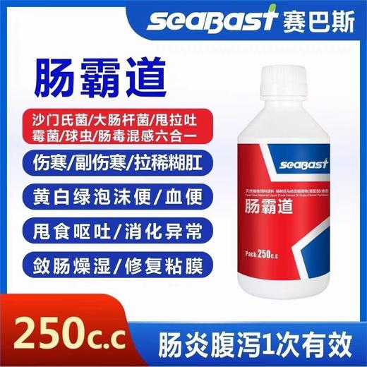 赛巴斯鸽药【肠霸道液体 】250毫升，赛信鸽沙门氏大肠杆菌专用肠道水绿便伤寒 商品图0