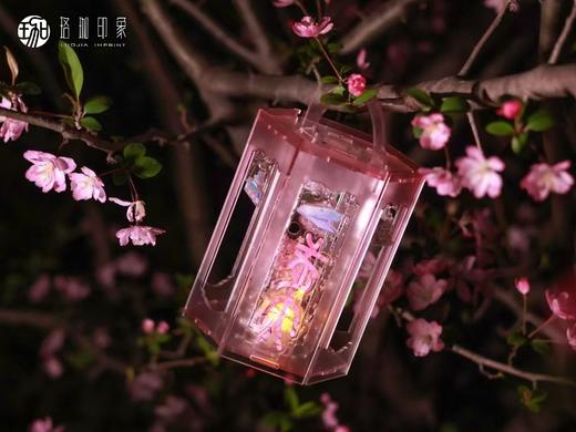 珞珈晓月宫灯 商品图0