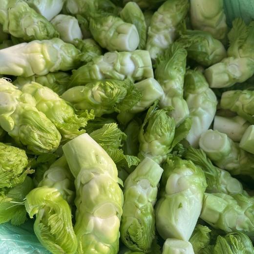 儿菜【1斤】 商品图5