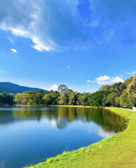 【泰国留学签证】一对一服务，资料保密-可加急 商品图1