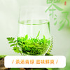 【2026新茶】恩施玉露绿茶明前一级优选高山硒茶口粮茶500g自饮罐装送礼袋 CM 商品缩略图4