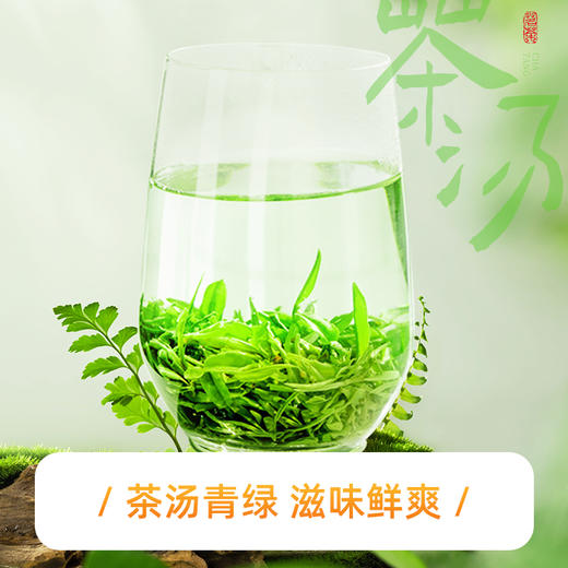 【2026新茶】恩施玉露绿茶明前一级优选高山硒茶口粮茶500g自饮罐装送礼袋 CM 商品图4