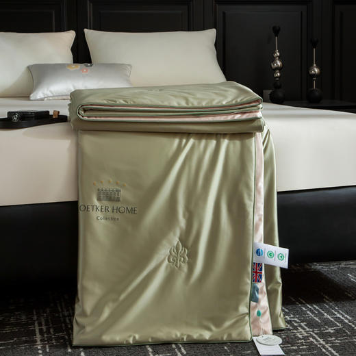 热卖中！！【英国百年品牌】欧特家·OETKER七星级酒店 冰锦丝抗菌水光被（下单72小时内发货！） 商品图3