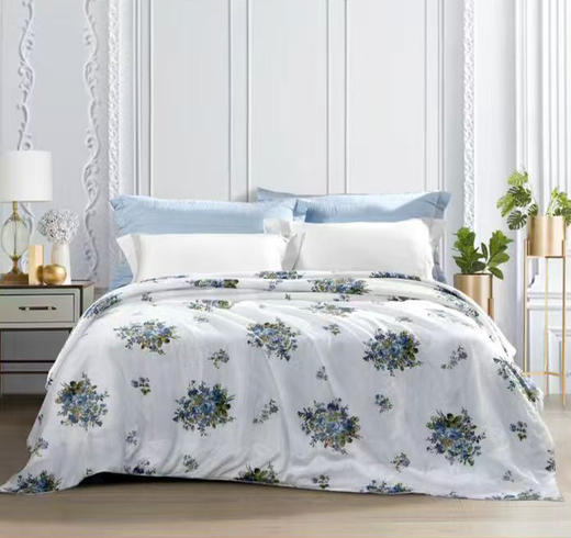 富安娜水洗蚕丝夏被/月夕花朝 商品图0