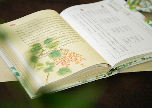 《《诗经》全注全译全本彩图：典藏版》(全2册) 商品图5