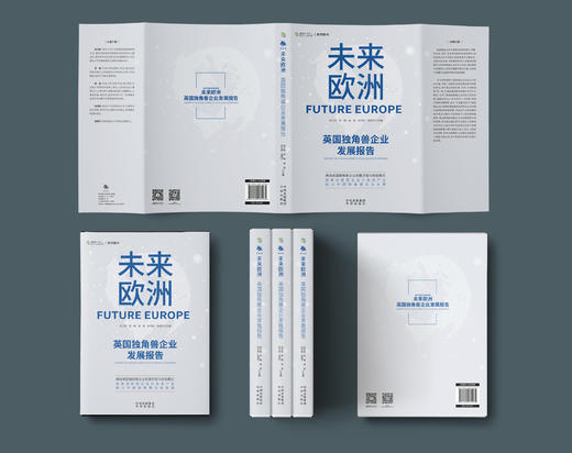 未来欧洲：英国独角兽企业发展报告；阐述英国独角兽企业发展历程与经验模式 培育创新型企业与未来产业 助力中国独角兽企业发展 商品图3