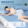 泰嗨TAIHI 新款加厚艾草乳胶凉席三件套A类亲肤面料 商品缩略图3