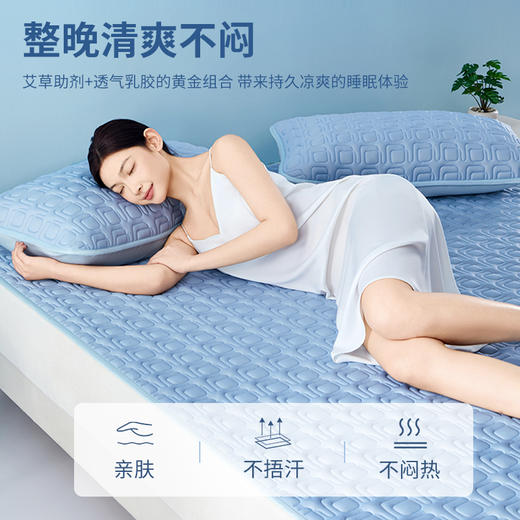 泰嗨TAIHI 新款加厚艾草乳胶凉席三件套A类亲肤面料 商品图3
