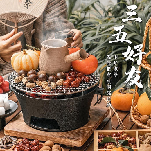 飞图乐（FTLY）经典铸铁大号围炉套装标准款黑色WLTZ0101 商品图5