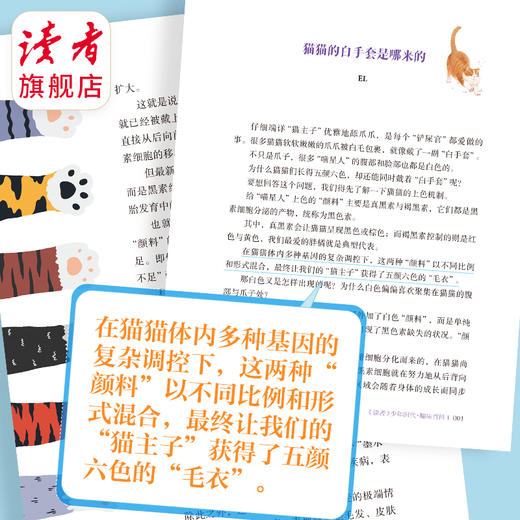 《读者》少年时代（青春典藏版）全4册 篇篇经典百读不厌励志读物打开眼界增加作文思路 商品图2