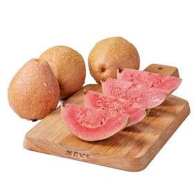 山塘苏记玫瑰红番石榴