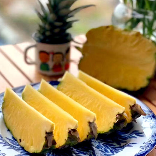 【厂商直发】海南有机凤梨台农17号树上熟金钻凤梨当季新鲜香甜多汁 商品图6