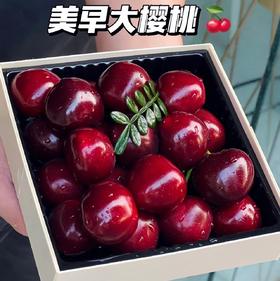 【BF】美早大樱桃6A盒装（一盒约500g）