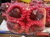 莲雾300g/盒 商品缩略图0