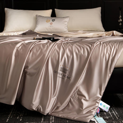 热卖中！！【英国百年品牌】欧特家·OETKER七星级酒店 冰锦丝抗菌水光被（下单72小时内发货！） 商品图7