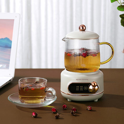 厨创妈咪电炖杯_YSSM05B01【K】 商品图1